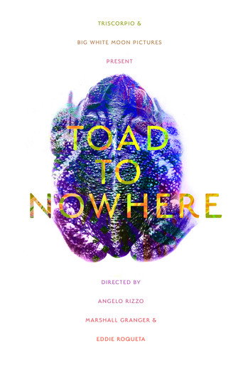 Cartel de Toad to Nowhere