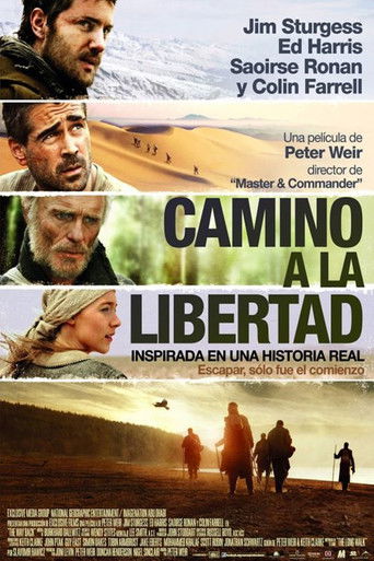 Cartel de Camino a la libertad