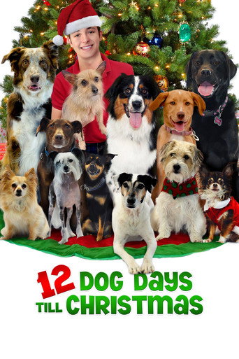 Cartel de 12 días para Navidad