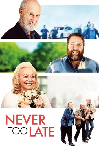 Cartel de Never Too Late