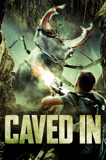 Cartel de La cueva