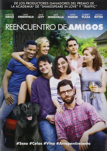 Cartel de Reencuentro de amigos