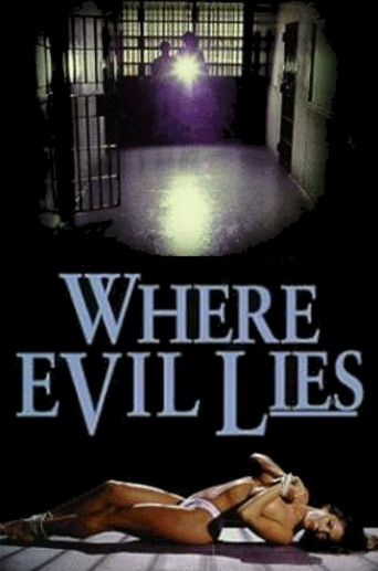 Cartel de Where Evil Lies