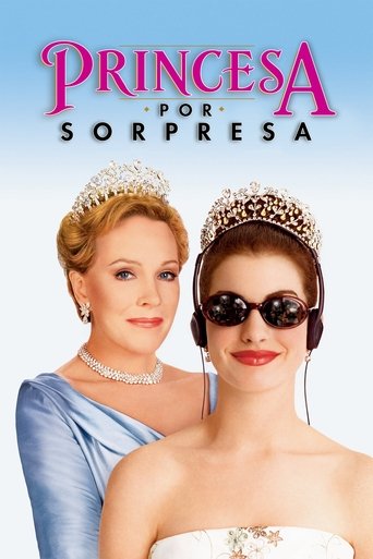 Cartel de Princesa por sorpresa