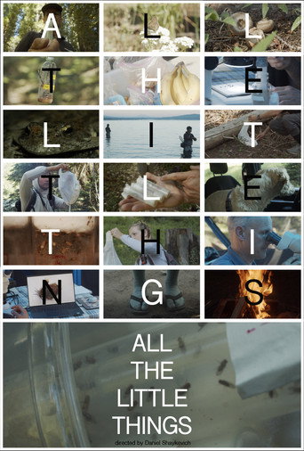 Cartel de All the Little Things