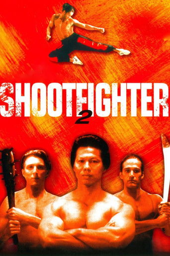 Cartel de Shootfighter 2