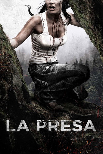 Cartel de Quarries
