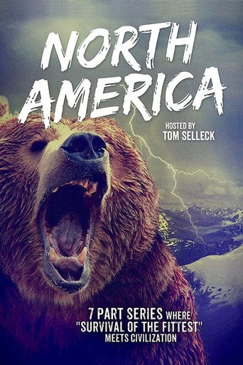Cartel de North America
