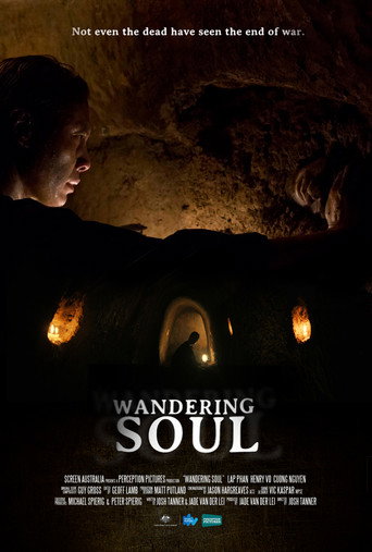 Cartel de Wandering Soul