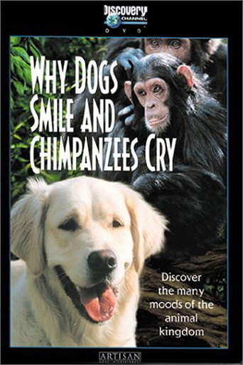 Cartel de Why Dogs Smile and Chimpanzees Cry