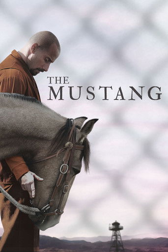 Cartel de The Mustang