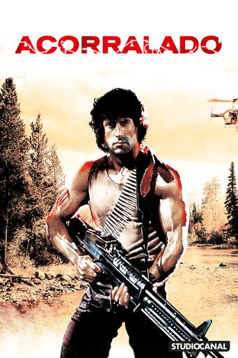 Cartel de Acorralado