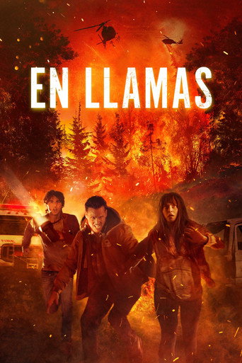 Cartel de En llamas