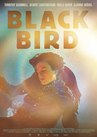 Cartel de Blackbird