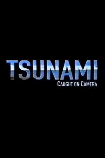 Cartel de Tsunami: Caught on Camera