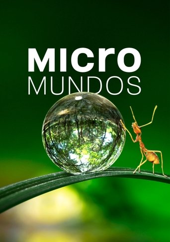 Cartel de Micromundos