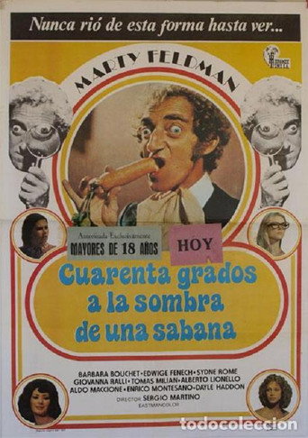 Cartel de Cuarenta grados a la sombra de la sábana blanca