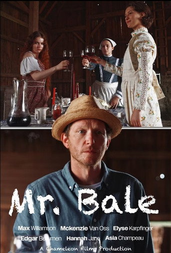 Cartel de Mr. Bale