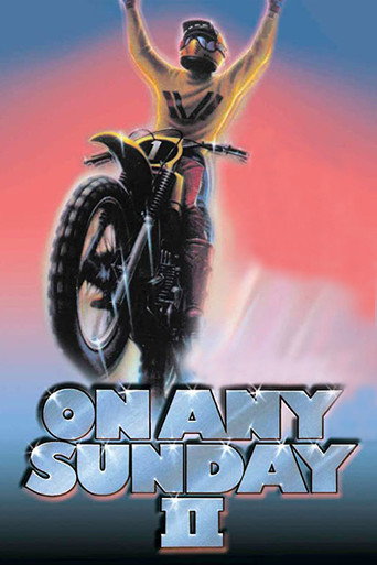 Cartel de On Any Sunday II