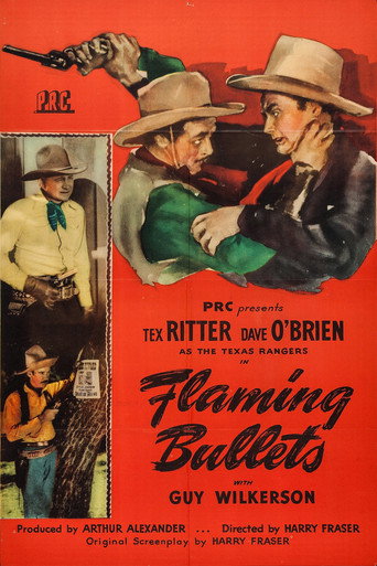 Cartel de Flaming Bullets