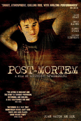 Cartel de Post-Mortem
