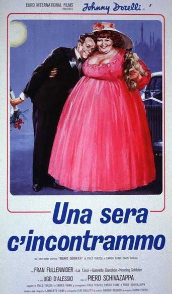 Cartel de Una noche nos conocimos