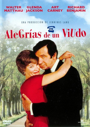 Cartel de Alegrías de un viudo