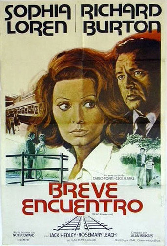 Cartel de Breve encuentro