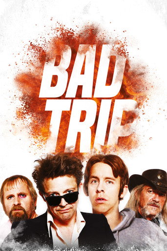 Cartel de Bad Trip