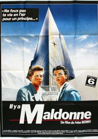 Cartel de Il y a maldonne
