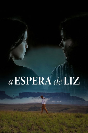 Cartel de A Espera de Liz