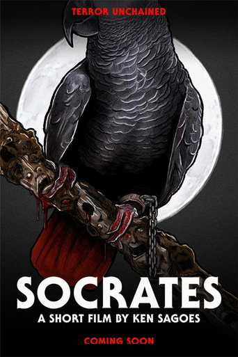 Cartel de Socrates