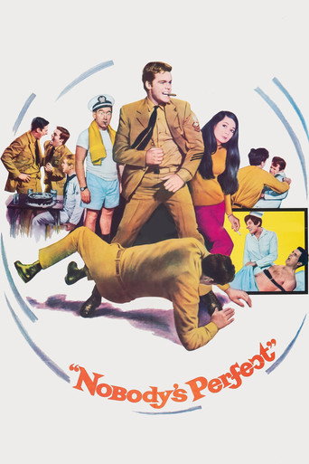 Cartel de Nobody's Perfect