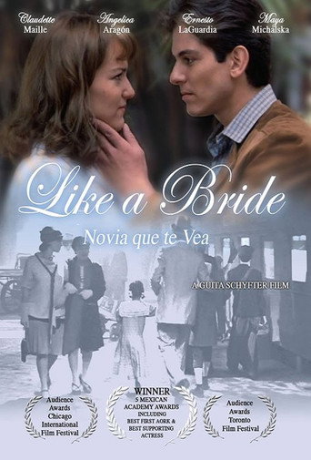 Cartel de Novia que te vea