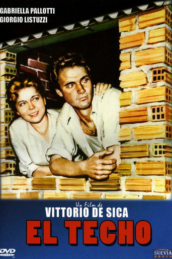 Cartel de El techo