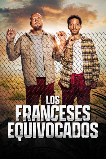 Cartel de Los amateurs