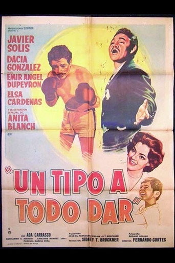 Cartel de Un tipo a todo dar