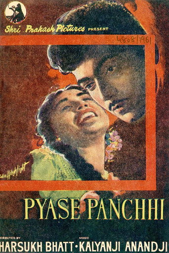 Cartel de Pyase Panchhi