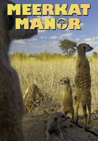 Cartel de Meerkat Manor