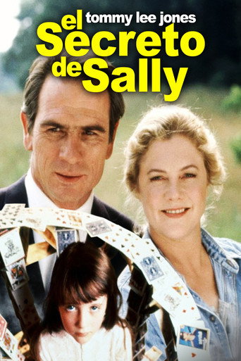 Cartel de El secreto de Sally