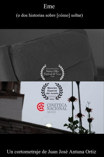 Cartel de Eme (o dos historias sobre [cómo] soltar)