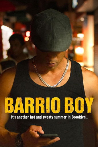 Cartel de Barrio Boy