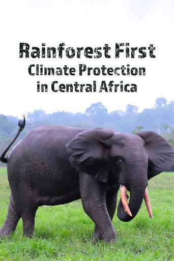Cartel de Rainforest First: Climate Protection in Central Africa