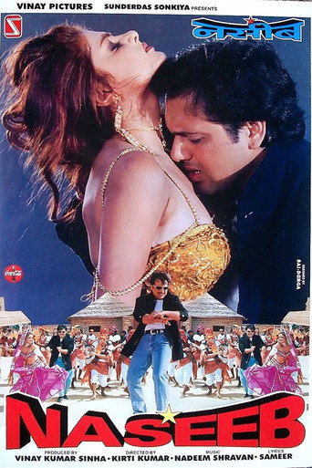 Cartel de Naseeb