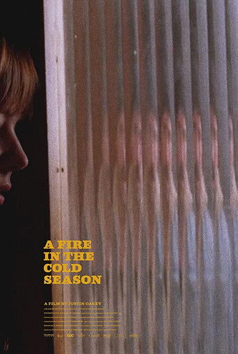Cartel de A Fire in the Cold Season