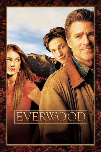 Cartel de Everwood