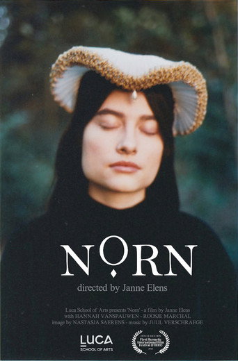 Cartel de Norn