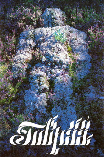 Cartel de Tulipää