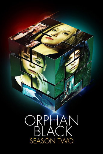 Temporada 2