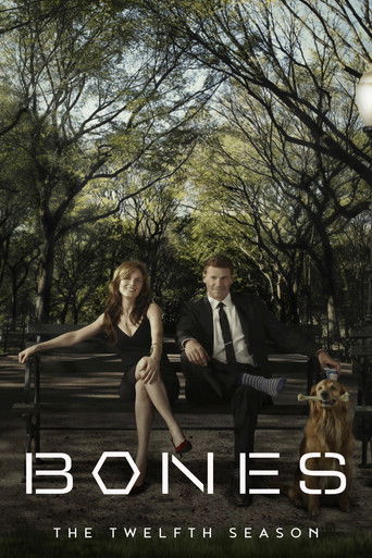 Temporada 12